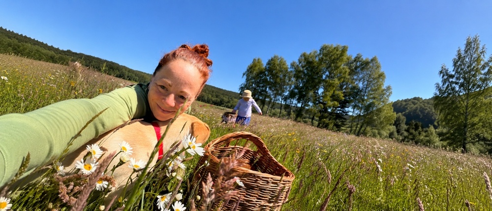 Bylinky – tajemství louky